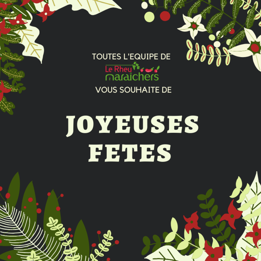  JOYEUSES  FETES  